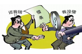 巴彦淖尔市遇到恶意拖欠？专业追讨公司帮您解决烦恼